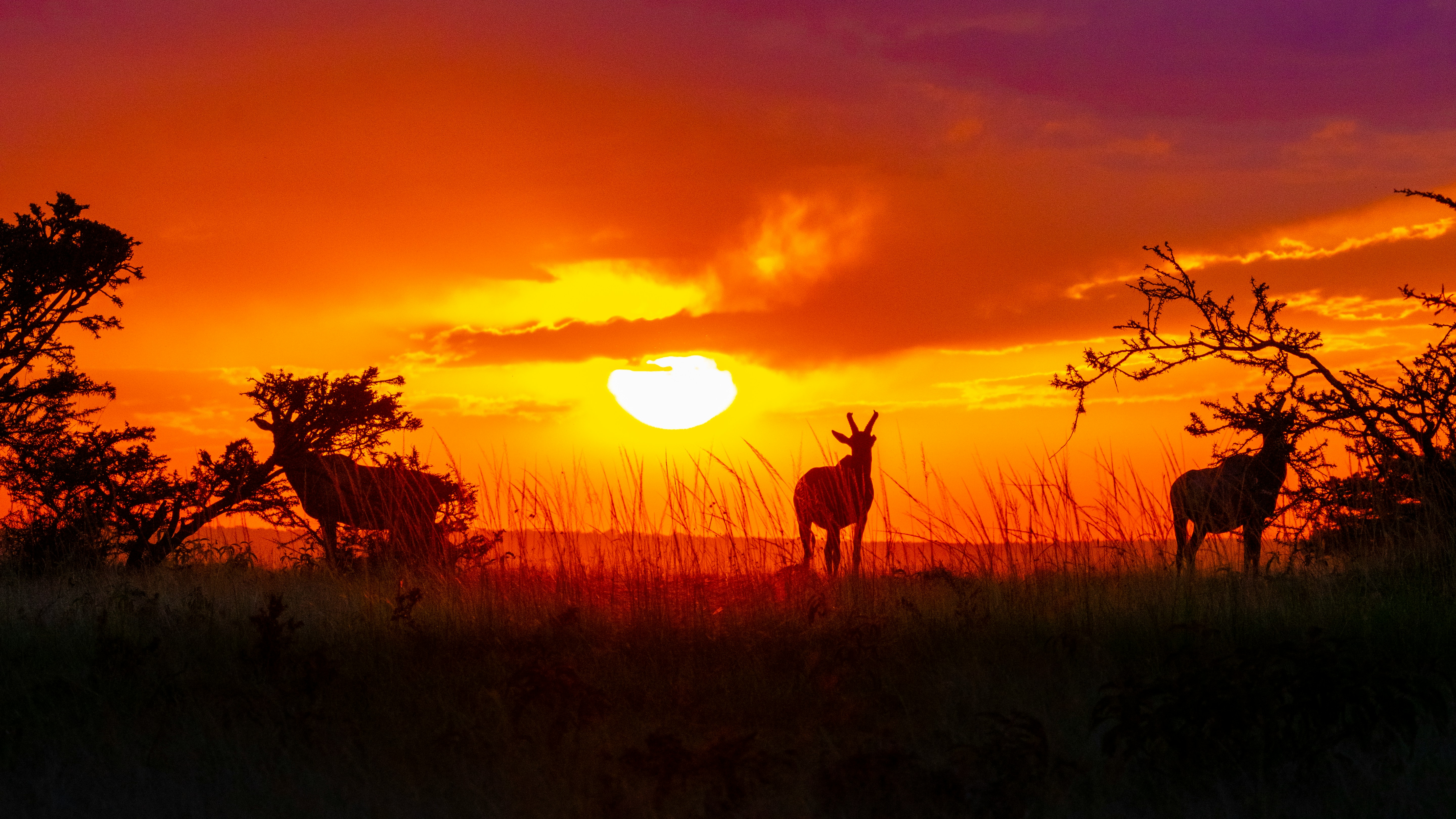 Sundowner drinks overlooking the plains