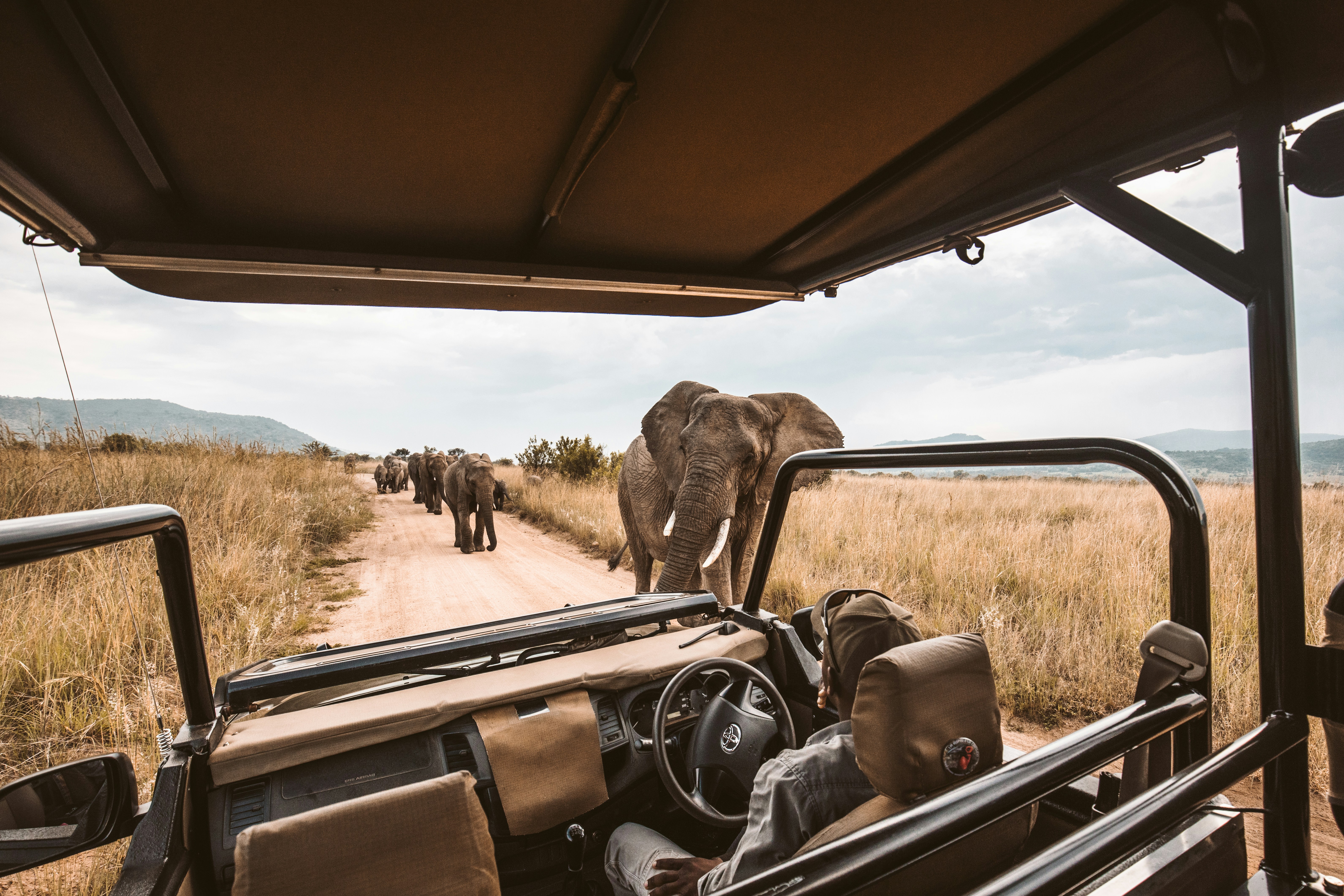 Travel consultant reviewing an itinerary with a client