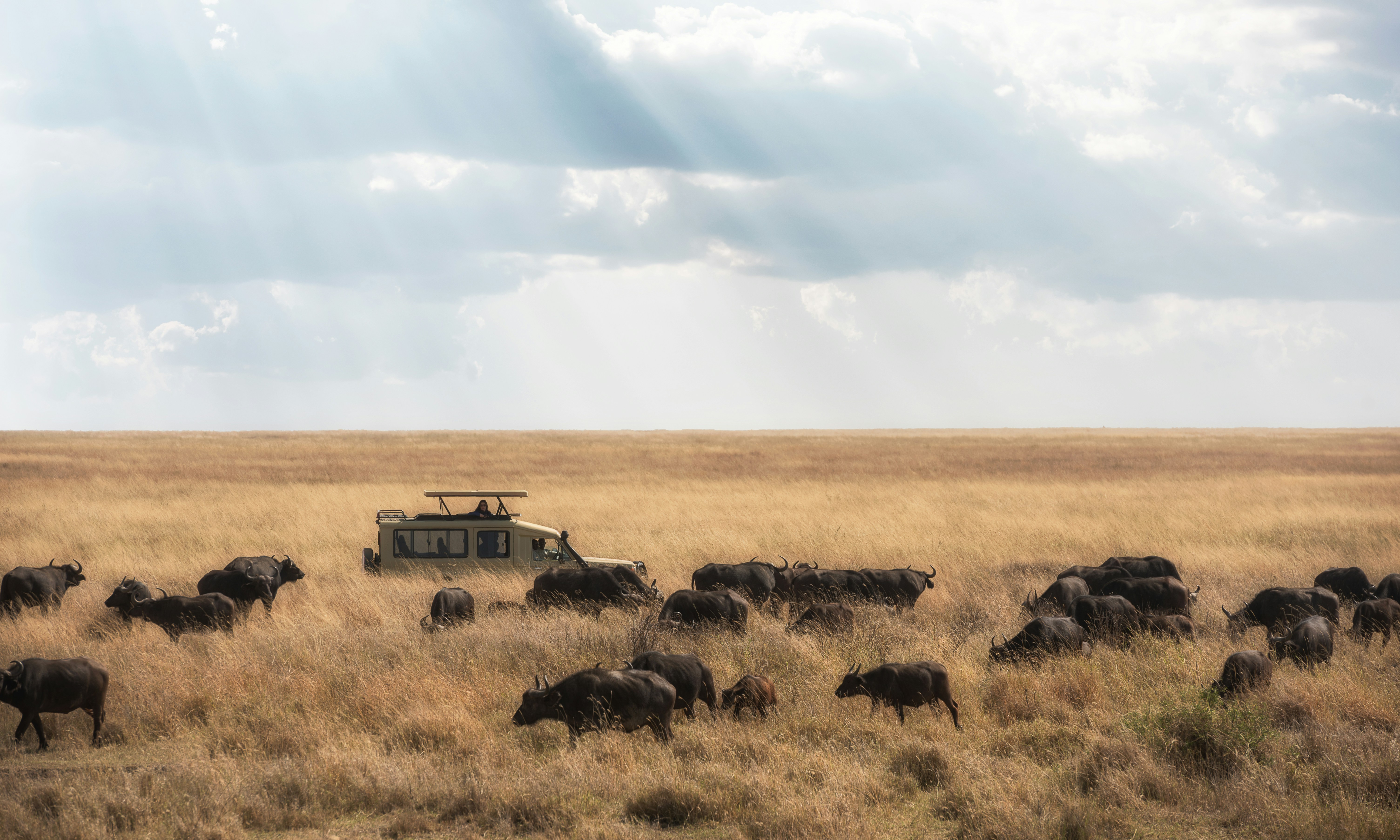 Kilimanjaro peak rising over the Tanzanian plains